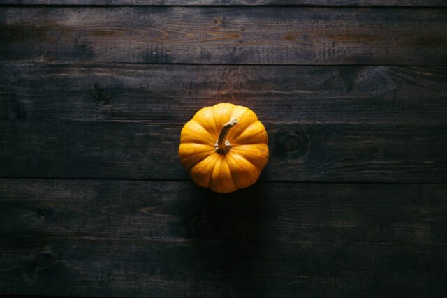 Little Pumpkin – Bild 4